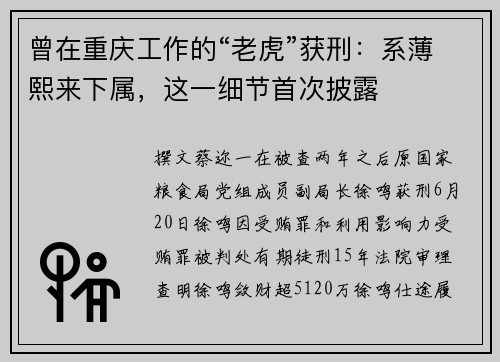 曾在重庆工作的“老虎”获刑：系薄熙来下属，这一细节首次披露