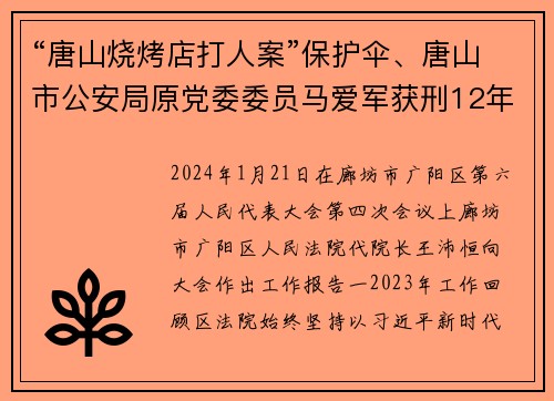 “唐山烧烤店打人案”保护伞、唐山市公安局原党委委员马爱军获刑12年
