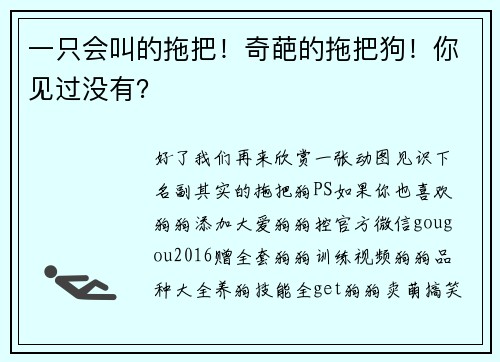 一只会叫的拖把！奇葩的拖把狗！你见过没有？