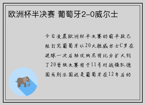 欧洲杯半决赛 葡萄牙2-0威尔士