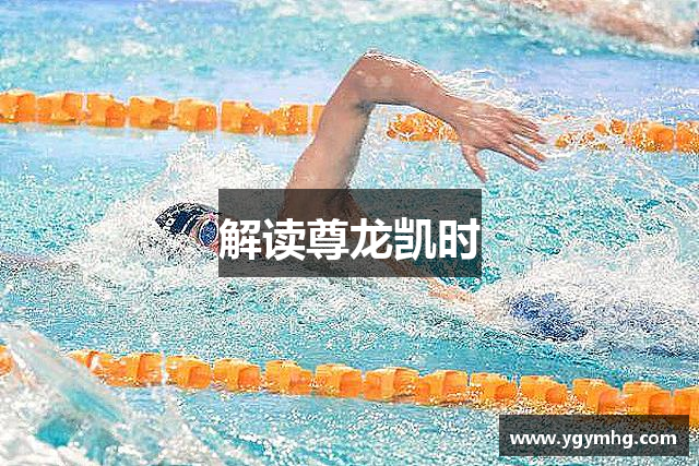 解读尊龙凯时